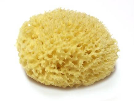 honeycomb type sponge